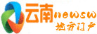 www.ynnewsw.vvang.com.cn